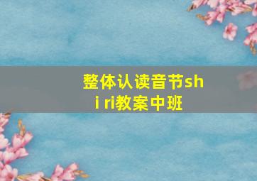 整体认读音节shi ri教案中班